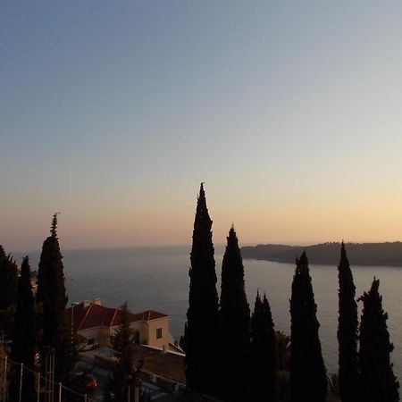 Apartment Matea Zlatni Potok ดูบรอฟนิก ภายนอก รูปภาพ